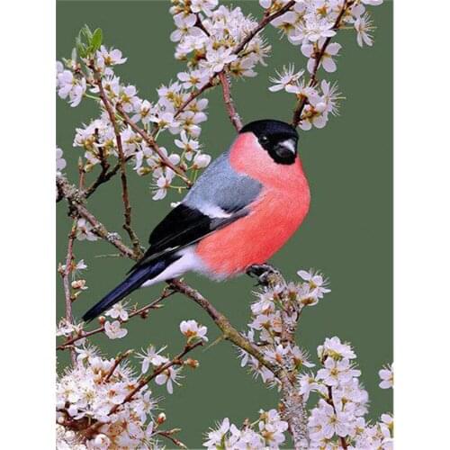 Bird Animal Printed Fabric 11CT Cross Stitch DIY Embroidery Full Kit DMC Threads Handicraft Sewing Knitting Handmade Decor