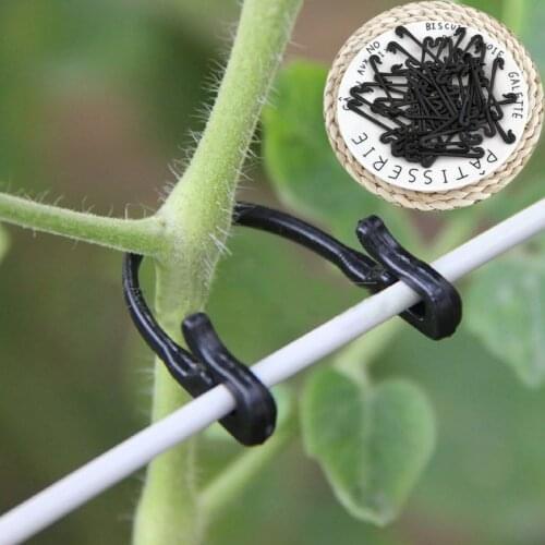 /50pcs Vines Fastener Tied Plastic Plant Support Clip Hook Grape Connection Vine Frame Grid Fastener Gardening Agricultural