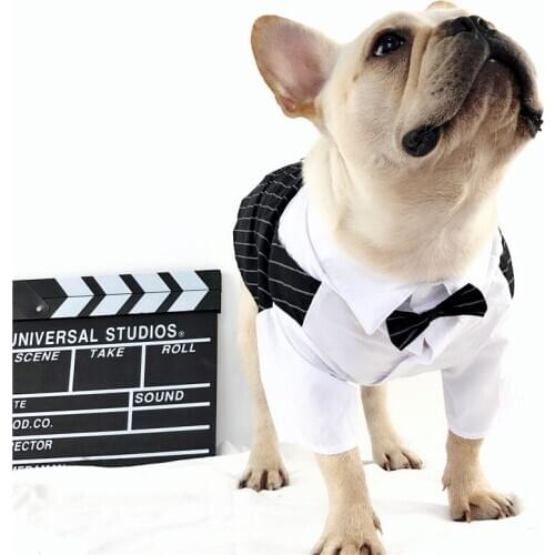 [MPK Dog Costume] Dog Wedding Suit for Groom with Bow Tie, Formal Dog Dress Shirt, Smart Attire for Dogs
