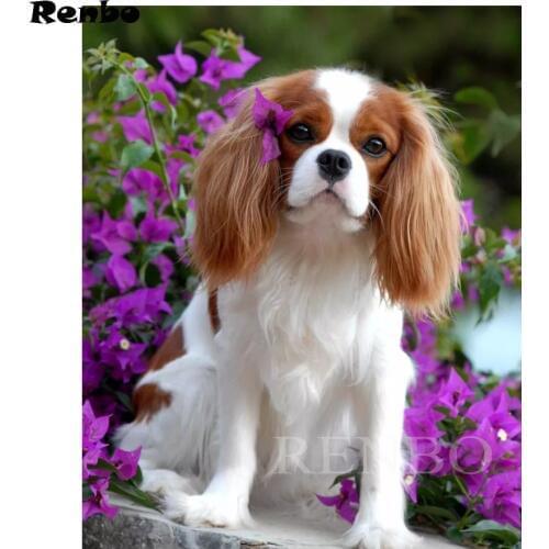 5d Cavalier King Charles Spaniel diy paint with diamonds paintings mosaic pictures by rhinestones embroidery diamond art sticker