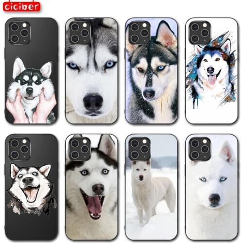 Alaskan Huskies Dog Case For iPhone 12 11 Pro Max Mini Back for iPhone X XR XS MAX 7 8 6 6S Plus 5S SE 2020 Soft TPU Phone Funda
