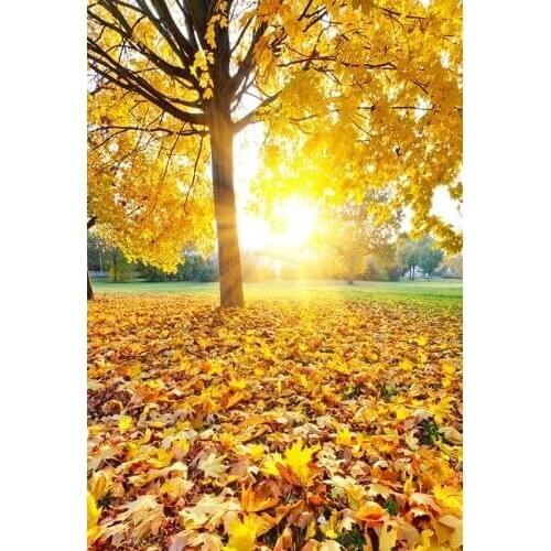 Fairy golden leaves photo background vinyl fotografia vlog photography backdrop for photo studio props scenic photophone lv-2103