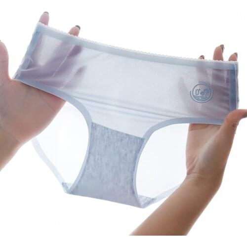 SMDPPWDBB Summer Mesh Panties Transparent Ice Silk Underwear For Women Silky Sexy Lingerie 100% Cotton Crotch Low-Waist Briefs