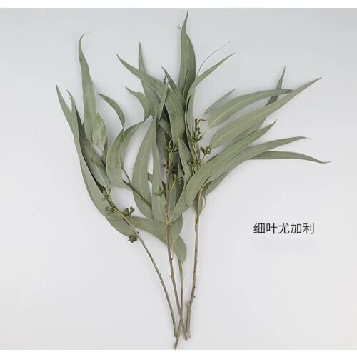 Eternal Flower Natural Dried Flowers Fine Leaves Eucalyptus Leaves Millet Leaves Fruit Vase Bouquet Material Shooting Props