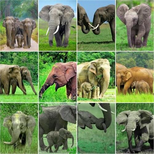 Animal Elephant 5D Diy Full Square and Round Diamond Painting Embroidery Cross Stitch Kit Wall Art Club Home Bedroom Decor