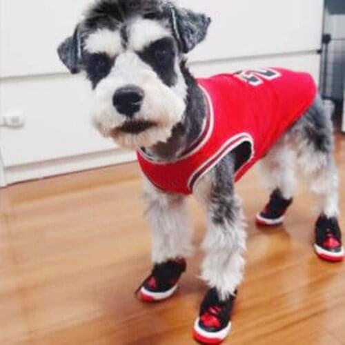 Fashion Pet Dog Shoes For Sports Anti-Slip Pets Dog Soles Waterproof Dog Booties Perfect Boots for Small Medium Dogs PDZL01