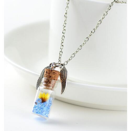 Original Drifting Bottle Lively Pendent cylinder Glass Necklace Creative Natural Drift Sand Women Dry Flower Necklace Girls Gift