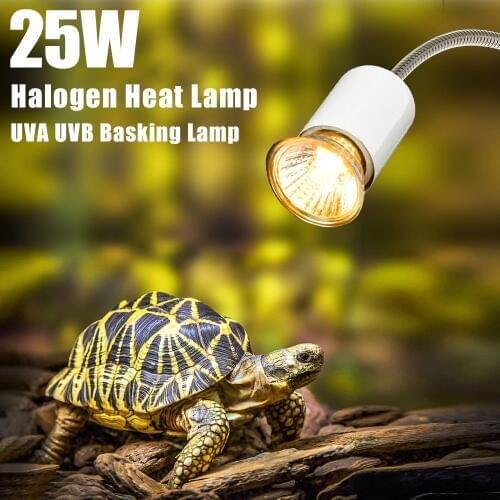 25W Reptile Lamp Bulb Turtle Basking UV Light Bulbs UVA UVB Heating Lamp Amphibians Temperature Controller for Turtle Aquarium