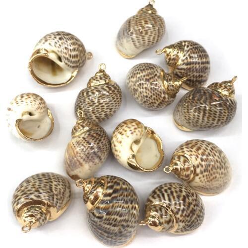 Natural shell Conch Shells Pendants Charms Necklace Pendant for Jewelry Making DIY Accessories Fit Necklaces Size 20x28-30x38mm