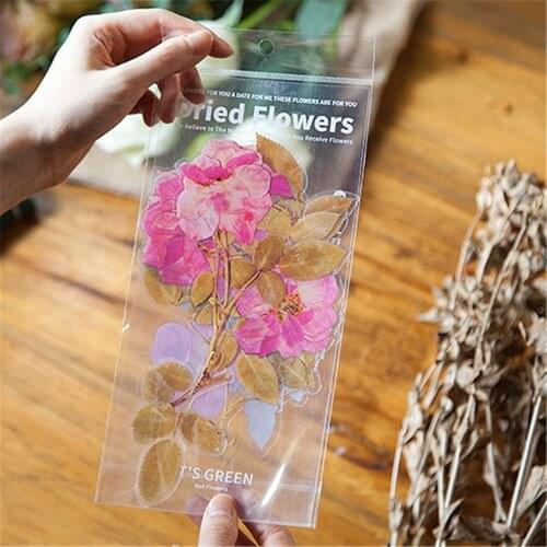 6PCS Scrapbook DIY Sticker Flower Plant Sticker Manual Album Diary Toy Gift Decorative Applique Stationery Illustration Sticker