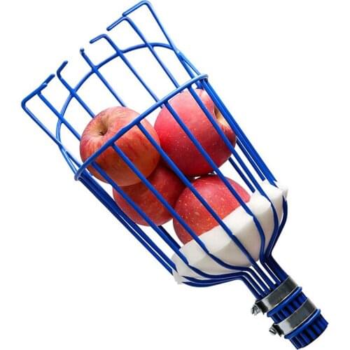 Fruit Picker Basket Twists Into Standard US Threaded Extension Pole Fruit Harvester Attachment
