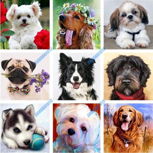 5d Diamond Painting Collie Dog Cute Animal Diy Mosaic Daimond Embroidery Full Square Round Drill Home Decor Cross Stitch Kits