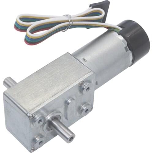 JGY-370 Encoder Reducer Motor Low Speed Worm Gear Motor Double Output Shaft Motor