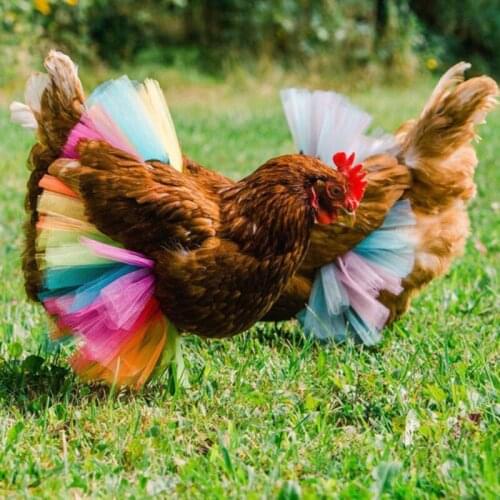 Chicken Costume Skirt Tutu Coop Hen Decoration Poultry Feather Protector Halloween Cosplay Dress Party Props