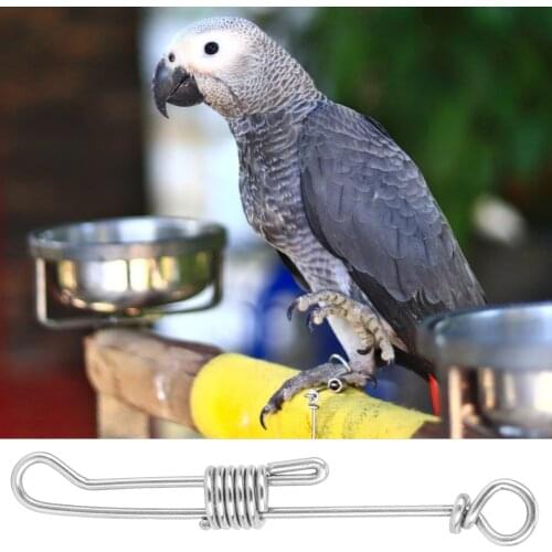 Stainless Steel Foot Chain Bird Anklet Rings Avoid Birds Away Bird Training Chain for Budgerigar Cockatiel