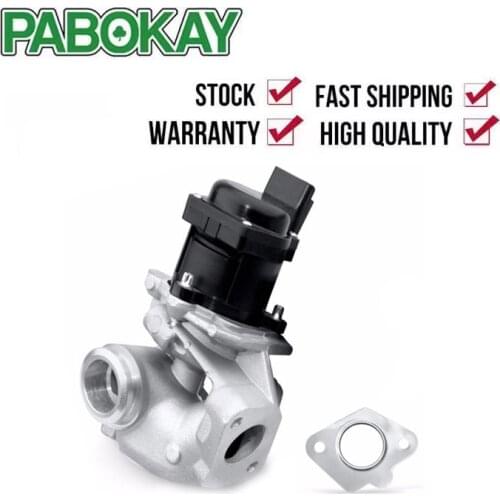 For Peugeot 206 207 307 308 407 1.6 HDI EGR Valve 1618.NR 161859 6NU010171-101 1618.59 9685640480 1618NR 1338675 5S6Q9D475AA