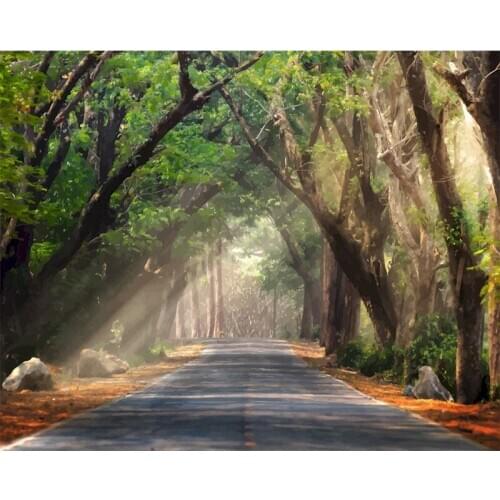 GATYZTORY Frame Road Landscape DIY Painting By Numbers Modern Wall Art Hand Painted Oil Painting For Wall Decor