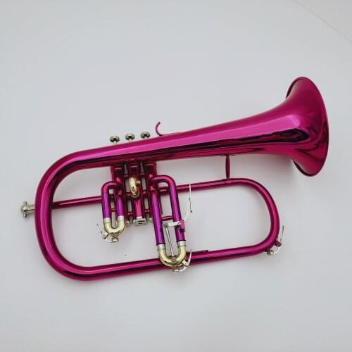 Real Photo Bb Tune Flugelhorn Purple nickel-Plated Professional Musical Instrument With Case Accessories Free Shipping