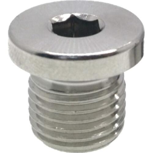 M8 M10 M12 M14 M16 M18 M20 M22 M24 M27 M30 Metric Male Thread 304 Stainless Steel Hex Socket Head End Cap Plug Pipe Fitting