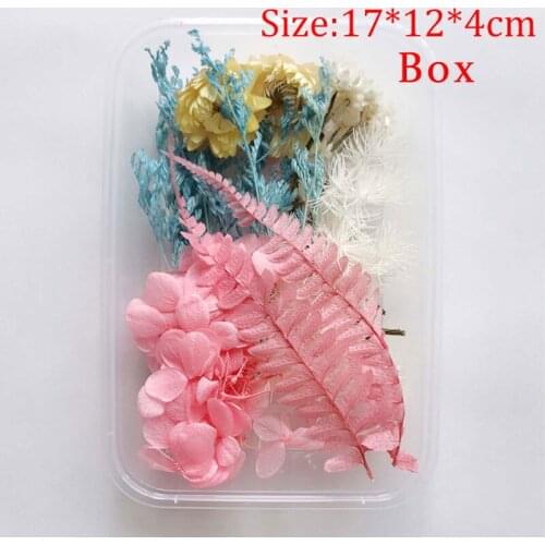 1 Box New Mix Dried Flower Material Package Natural Dried Flower Plants Decoration DIY Making Craft Floral Products Accessories
