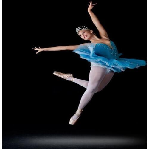 Swan ballet costume adult ballet gauze dress multi color dance ballet Girls Ballet Leotard Adults Professional Tutu Saia Dress