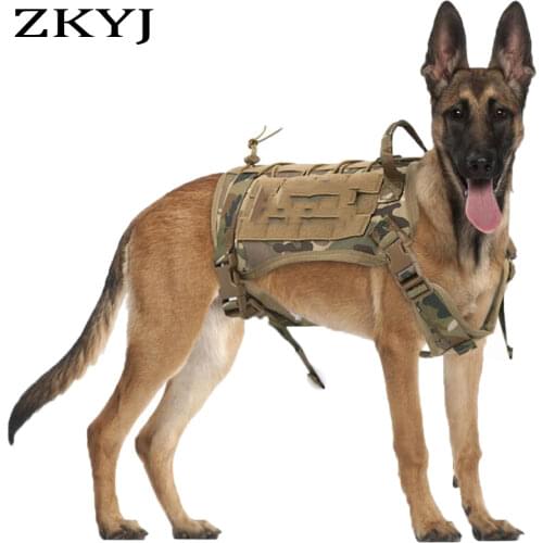 ZKYJ Collars, Harnesses And Leashes