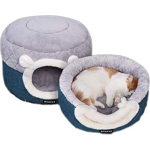 YTENGZ Products For Cats