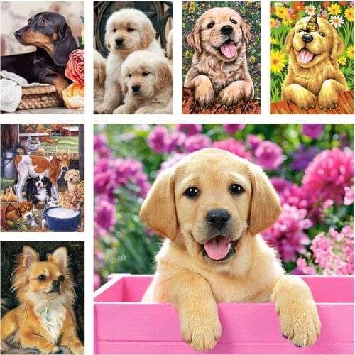 5D Full Round Square Diamond Painting Cute Animals Dog Diy Diamond Art Embroidery Cross Stitch Kit Resin Mosaic Pet Shop Home