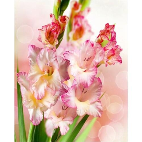 Diamond Embroidery Flower Diamond Painting Gladiolus Cross Stitch,DIY Crystal,Mosaic,Full Round Rhinestone,Home Decor,Crafts Y0