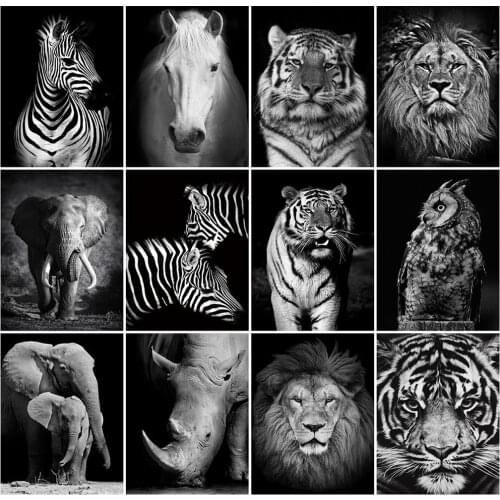 HUACAN 5D Diamond Painting Tiger New Arrival Diamond Art Embroidery Black And White Animal Mosaic Handmade
