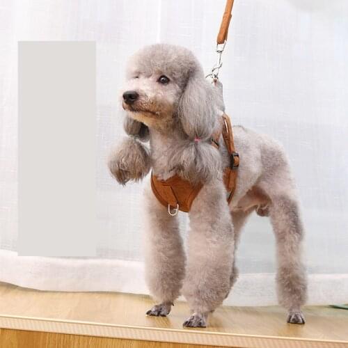 Adjustable Pet Harness Double-H Nylon Personalized Dog Leash Set Reflective Breathable Dog Leash Pet Accessoires