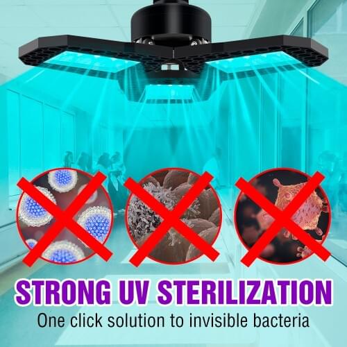 BiaRiTi Ultraviolet Lamps