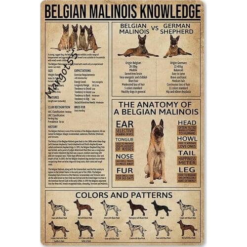 Belgian Malinois Knowledge Metal Tin Sign Animal Unplaning Poster Retro School Infographics Farm Home Kitchen