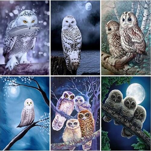 Owl DIY 5D Diamond Painting Full Square/Round Drill Animal Diamont Embroidery Cross Stitch Resin Home Decor Wall Art