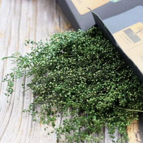 Miniature Bushes Tree Chariot Camouflage Net Military Scene Train Sand Table Scenario Model Vegetation Dry Branches