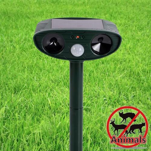 Wodondog Pet Supplies