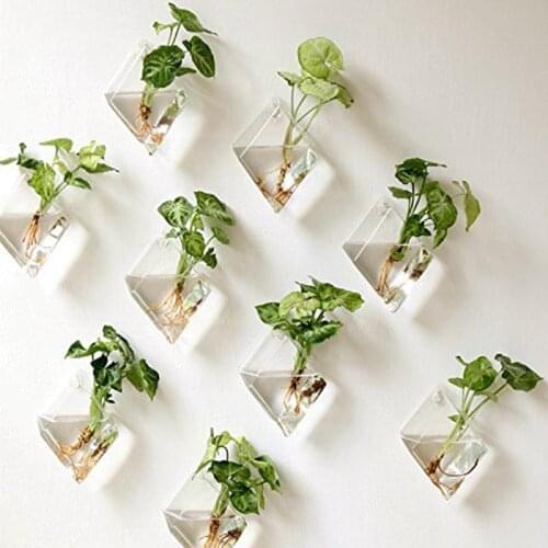 HiMISS Glass Flower Vases