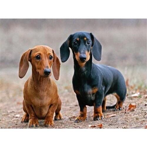Animal Dachshund DIY Cross Stitch 11CT Embroidery Kits Needlework Craft Set Printed Canvas Cotton Thread Home Dropshipping