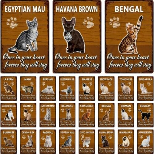 [ Kelly66 ] Pets Cat Bombay Siamese Exotic Shortair Abyssinian Metal Sign Home Decor Bar Wall Art Painting 20*30 CM Size Dy146