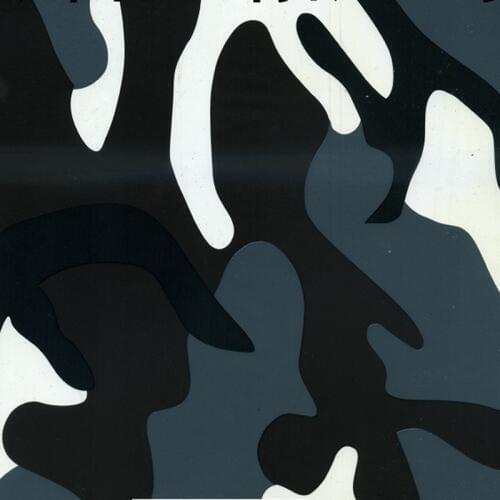 TSAUTOP Size 0.9 m x 10m hydro printing film hydrographic film camo water transfer printing film WDF2938-4