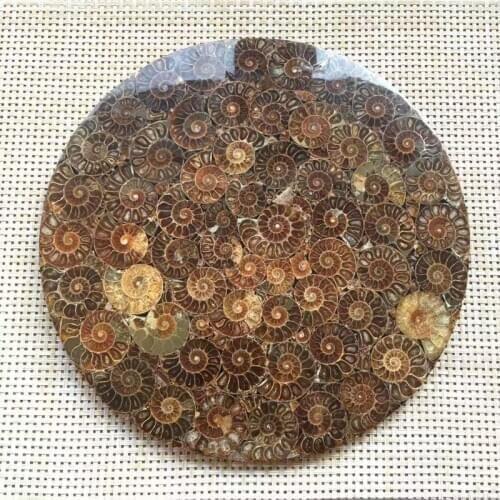 Natural quartz Folk Crafts Ammonite Fossil Slice plate spiritual healing crystals for sale