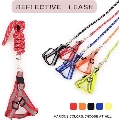Miarko Collars, Harnesses And Leashes