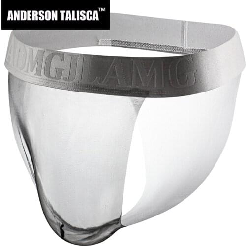 ANDERSON TALISCA Brand New Sexy Mens Briefs Underwear Transparent Men Brief Ropa Interior Hombre Soft Man Cueca Masculina M-2XL