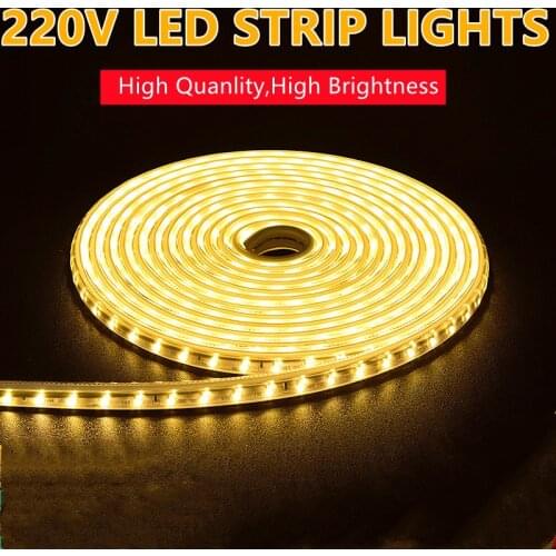 AC220V LED Strip 60LEDs SMD 5050 With EU Plug Flexible Waterproof Tape For Outdoor 1M 2M 5M 10M 15M 20M Fairy String Light