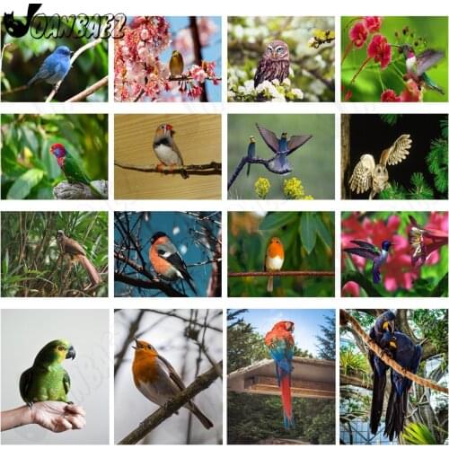 Lively Animal Diamond Painting 5D Diy Parrot Diamond Mosaic Bird Cross Stitch Squirrel Sticker Diamond Embroidery Gift Decor