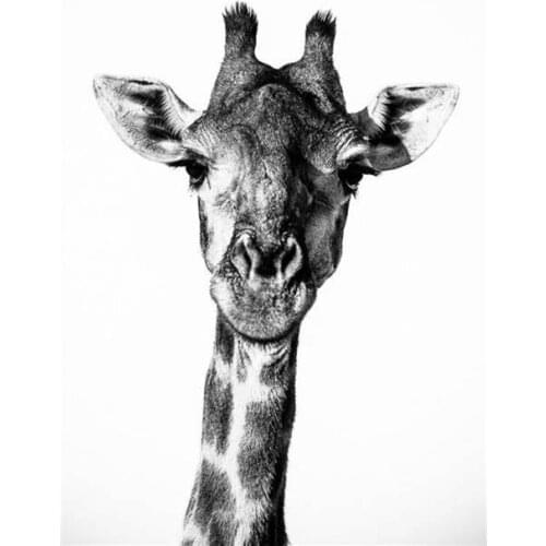 Lot style Choose Giraffe Wall Art Wild Animals Art print Silk poster Home Wall Decor