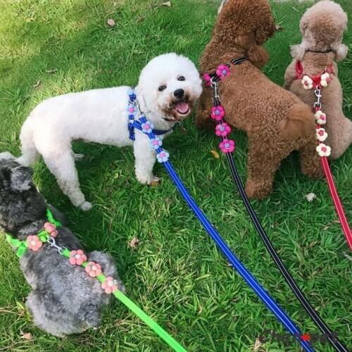 Fashion Durable Dog Leash with Florals Retractable Nylon Cat Lead Extending Puppy Walking Running Lead Roulette Dog Harness
