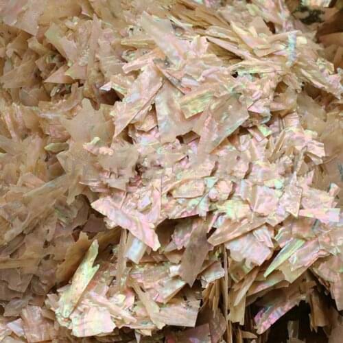 Nail Art Abalone Shell Irregular Fragment 3D Charm Decoration Slice 5g /bag Undrilled Natural Abalone Shell Thin Glitter Flake