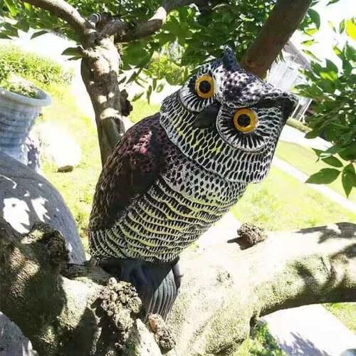 Товары для сада и огорода JIATA China At AliExpress