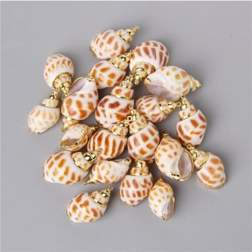 10pcs/Lot Women Bohemia Vacation 10PCS Natural Shell Pendant Conch Shell Charms For Jewelry Necklaces Earring Making Finding Diy